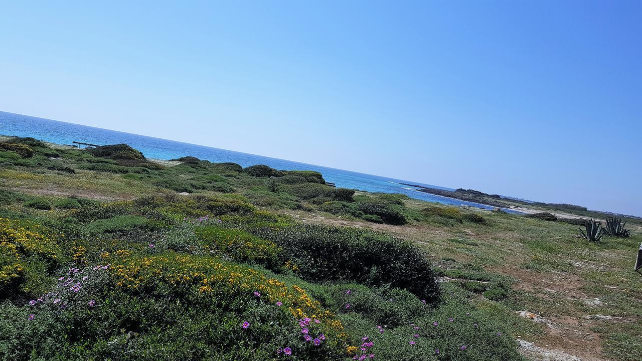 Punta Prosciutto Gma Tourism Vila Porto Cesareo Exterior foto